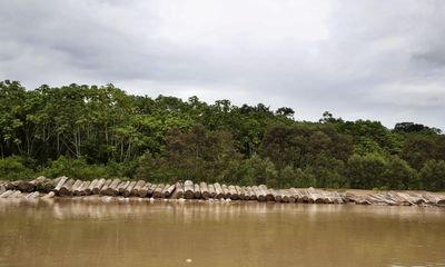 Peruvian loggers given 28 years in jail for murder of four Indigenous leaders