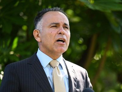 Vic Liberals all responsible for election loss: Pesutto
