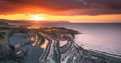 The hidden gem beach near Bristol that's perfect for fossil hunting