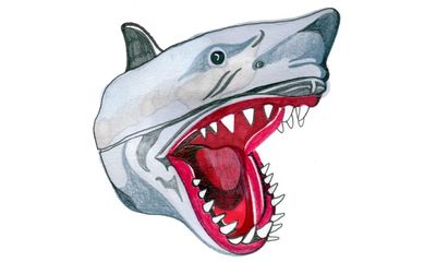 Why do sharks have nostrils and how does a cat always land on its feet? Try our kids’ quiz