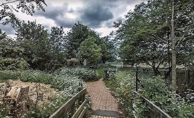 Pair charged with murder after man found dead in woodland