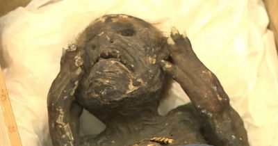Mystery of chilling mummified 'mermaid' worshipped for powers is SOLVED after 300 years