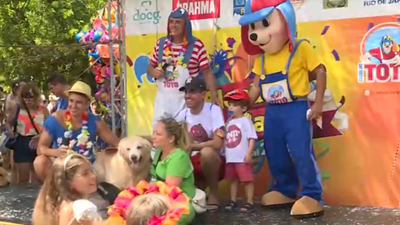 Watch a pet street carnival group perform as part of Brazil Carnival