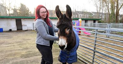 Inside the hidden city farm spread across 24 acres of Rice Lane