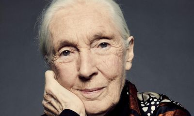 Jane Goodall: ‘People are surprised I have a wicked sense of humour’