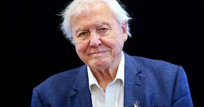 Sir David Attenborough shares the one thing he regrets from seven decade career