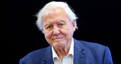 David Attenborough admits his biggest regret of his 69 year career is working abroad