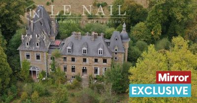 Criminal kingpin's looted French chateau goes on the market for £578,000