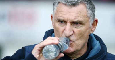 Sunderland fell victim to a 'sucker-punch' admits Tony Mowbray after Bristol City's late joy