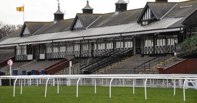 Horse racing tips: Sunday selections from Newsboy for Musselburgh, Newbury and Punchestown