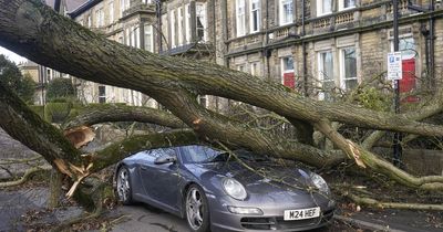 Over 1,300 Aberdeenshire homes still without power after Storm Otto blasted Scotland