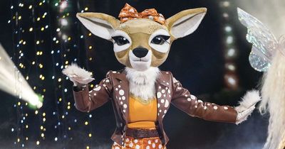 The Masked Singer UK 2023 finalists: All the clues and guesses for Rhino, Fawn and Phoenix so far