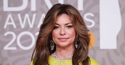 Starstruck's Shania Twain's stalker, the disease which took her voice and the famous husband who left her