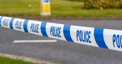 Man arrested after woman dies following attack in Exeter park and police seek witnesses