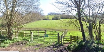 Ludwell Valley Park: Man arrested after woman in her 70s dies in park attack