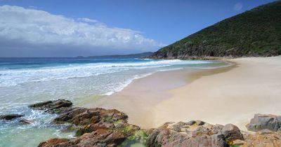 Two men drown in Port Stephens as NSW 'horror summer in the surf' continues