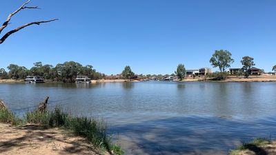 Search for man missing along Murray River near Mildura after boat capsizes