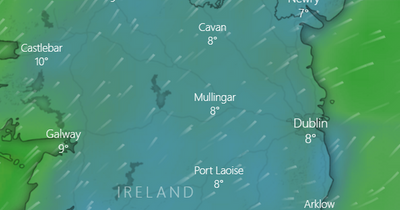 Met Eireann forecasts windy weather ahead of overnight Dublin drizzle