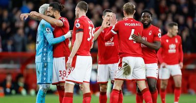 City Ground at its magical best as Nottingham Forest game-plan works a treat against Man City