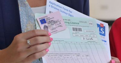 Irish drivers who passed test before 2014 warned to take action to avoid harsh €1,000 fine