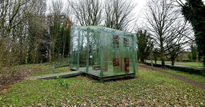 'Glass house' hidden in woodland has people scratching their heads