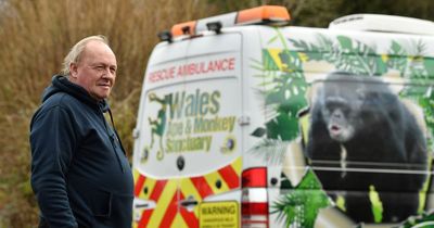 The Welsh animal charity facing a perfect storm of problems