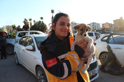 Rescue teams treat animals saved from the rubble of Turkey quakes