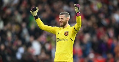 David de Gea equals long-standing Peter Schmeichel record in Man United win over Leicester