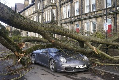 Power restored to all homes after Storm Otto moves away