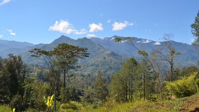 Police operation underway to rescue Australian professor and three colleagues held hostage in Papua New Guinea