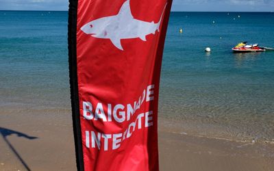 Australian tourist dies in shark attack at crowded Noumea beach