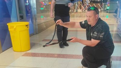 Snake found behind vending machine at Marion Shopping Centre days after entering roof