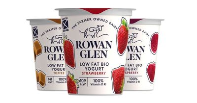 Yoghurt maker Rowan Glen starts production again after management buyout