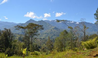 Papua New Guinea police commit to ‘whatever means necessary’ to recover kidnapped Australian professor