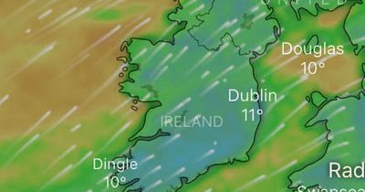 Dublin weather: Temperatures to plunge below zero as Met Eireann warn of 'blustery showers'