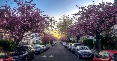 Changes to driving rules coming in 2023 - some will see ban on pavement parking