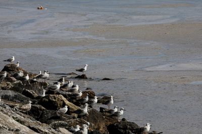 Countries gather to thrash out U.N. ocean protection treaty