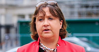 Minister Anne Rabbitte 'mortified' after cow dung was thrown at her and says abuse is 'relentless'
