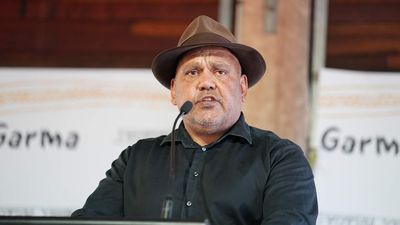Noel Pearson says he will 'fall silent' if Voice referendum fails