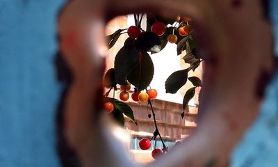 Poem of the week: Four Seasons Gone by Patricia McCarthy