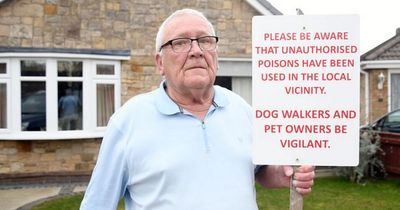 Elderly man 'terrified' to let cat leave home after 'poison' left in garden