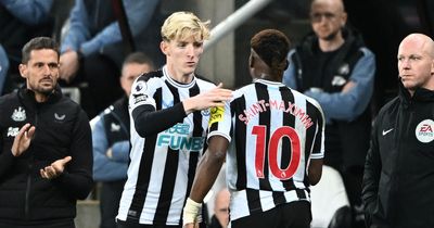Anthony Gordon ‘ticks’ Newcastle United’s boxes and backed to surpass Allan Saint-Maximin