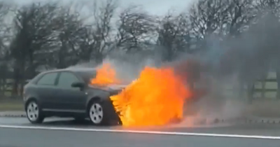 Car bursts into flames on busy Scots motorway as emergency services race to scene