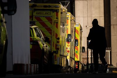 ‘Totally wrong’: London Ambulance lagging behind on diversity and must improve, bosses warned