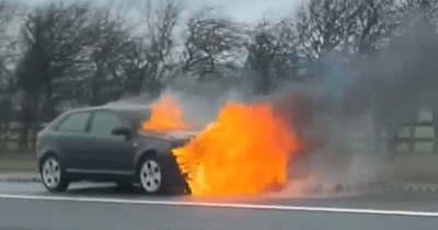 West Lothian car bursts into flames on M8 as motorists face severe tailbacks