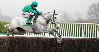 Three-time Betfair Chase winner Bristol De Mai retired from racing after latest defeat