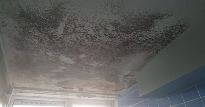 Son left 'disfigured' from living in damp and mouldy flat for 10 years