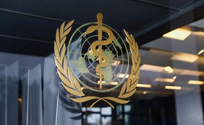 Develop vaccines for all animal influenza strain, says incoming WHO chief scientist
