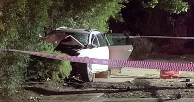 Fatal crash in Watson after driver hits tree