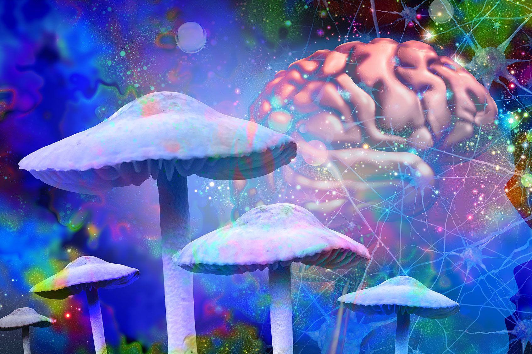 How the brain makes its own toad venom